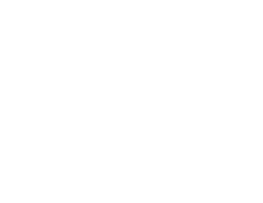 The Nest