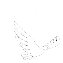 Acton Academy Northwest Austin